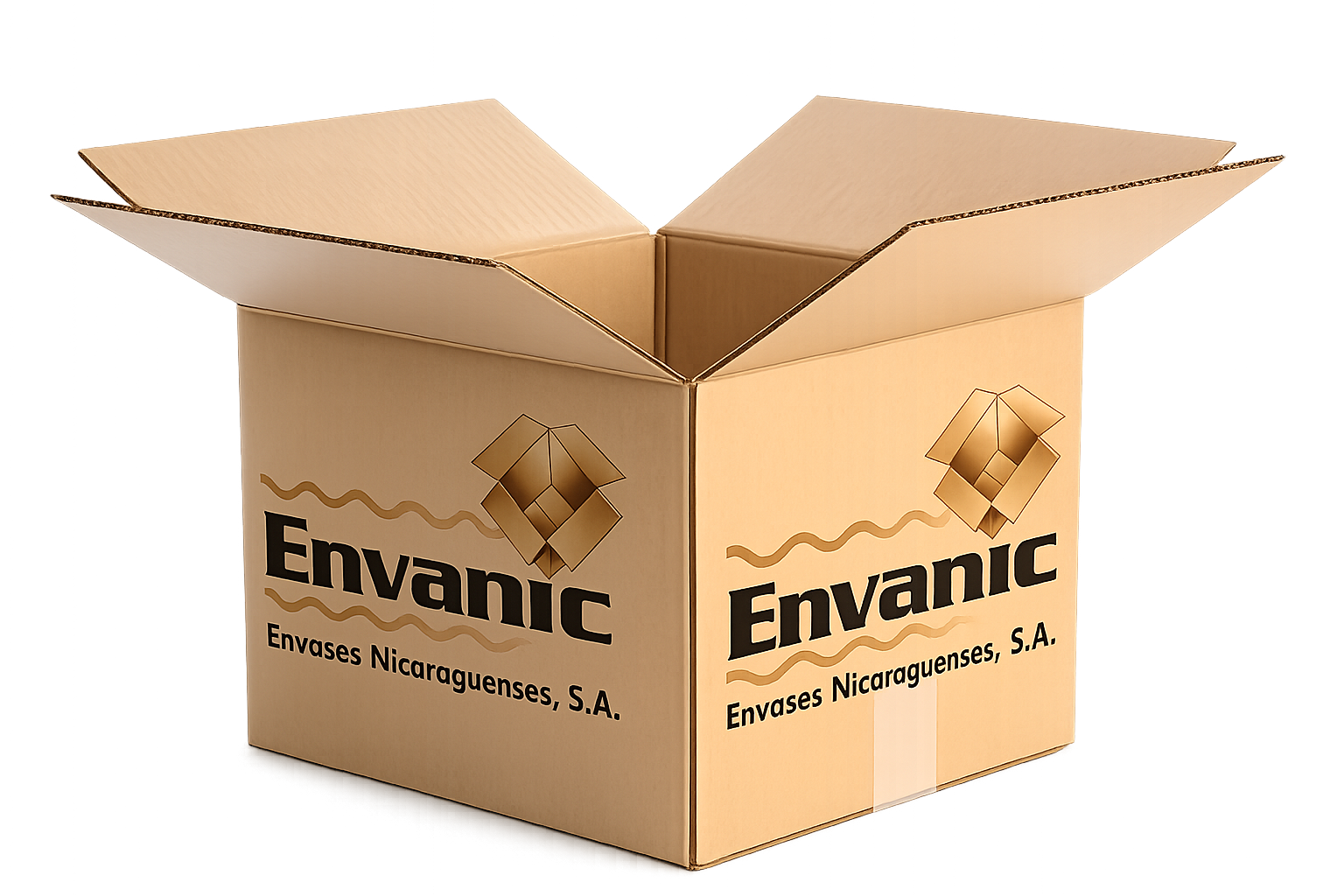 Caja Envanic