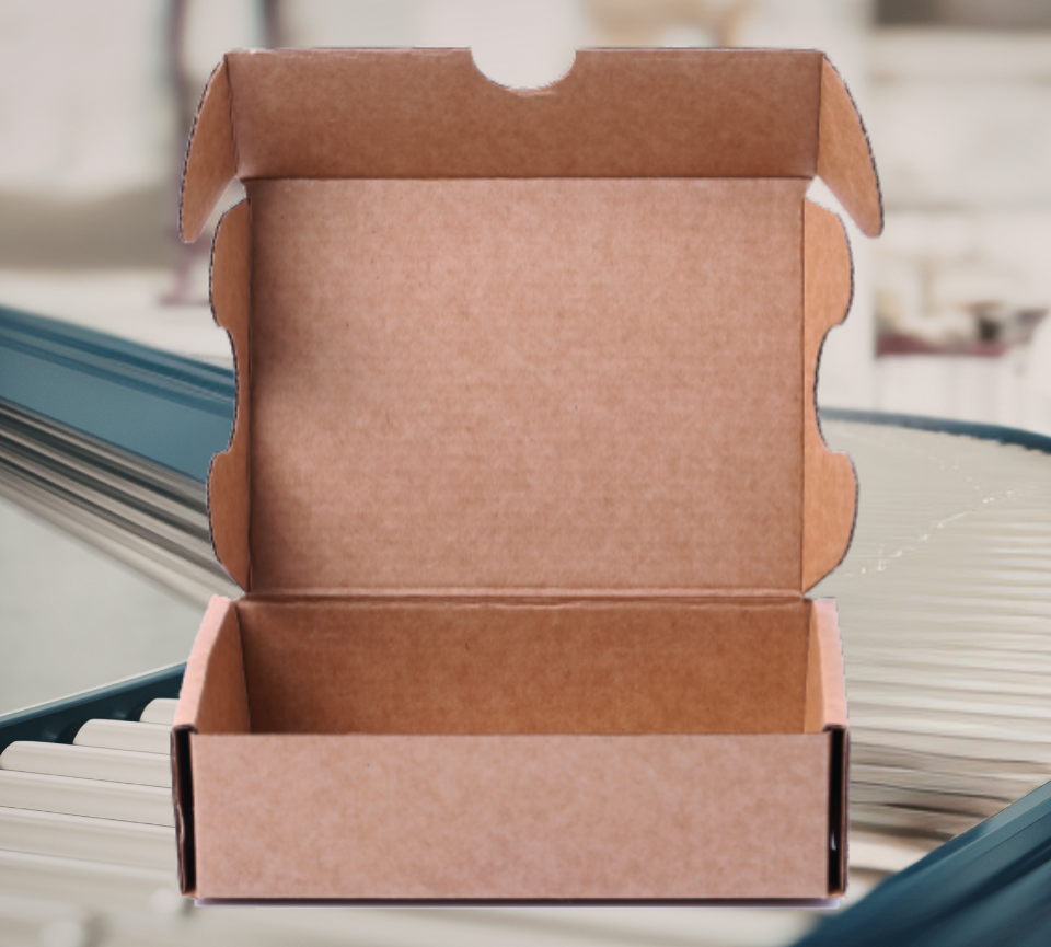 Caja Envanic